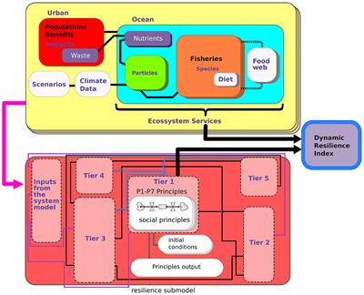 How social-ecological systems resilience unfolds from distinct worldviews